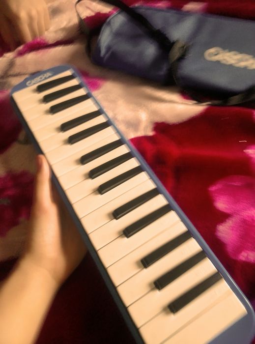 Мелодика,talk box