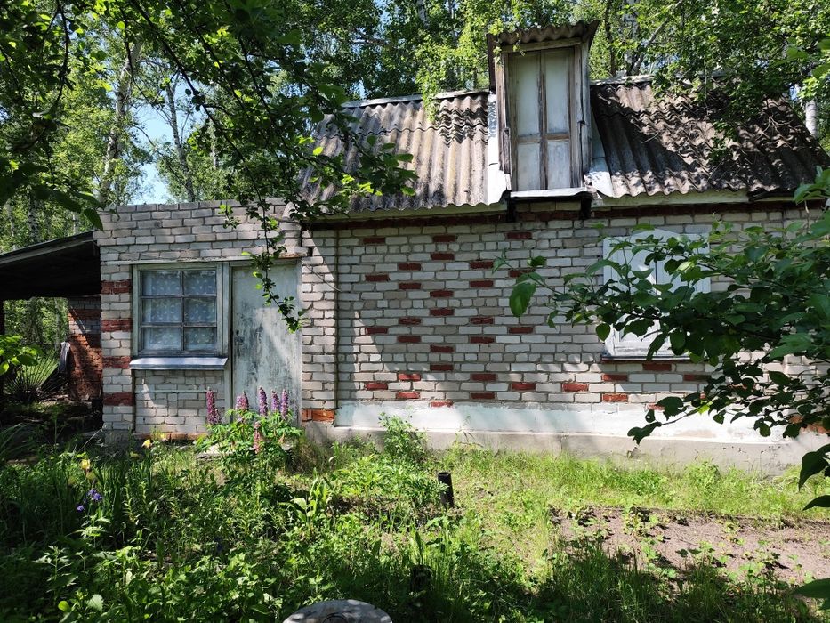 Продам Дачу в Новопавловке в лесу