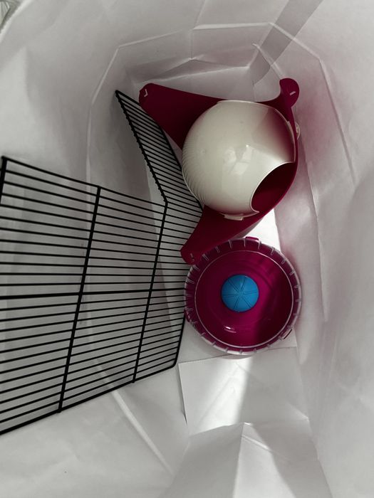 Продам хомяк породисты