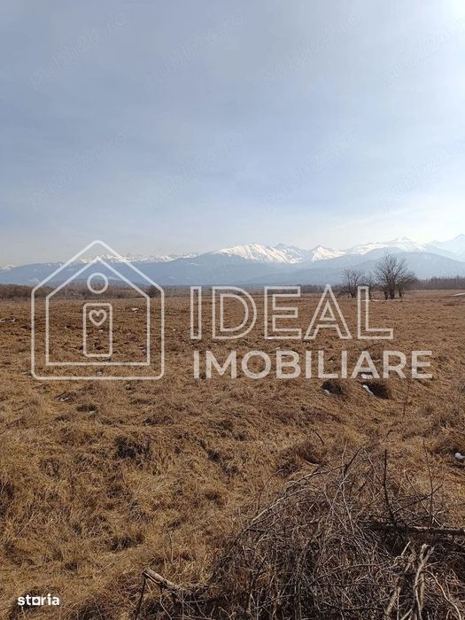 Teren 25.500 mp Valea Avrigului