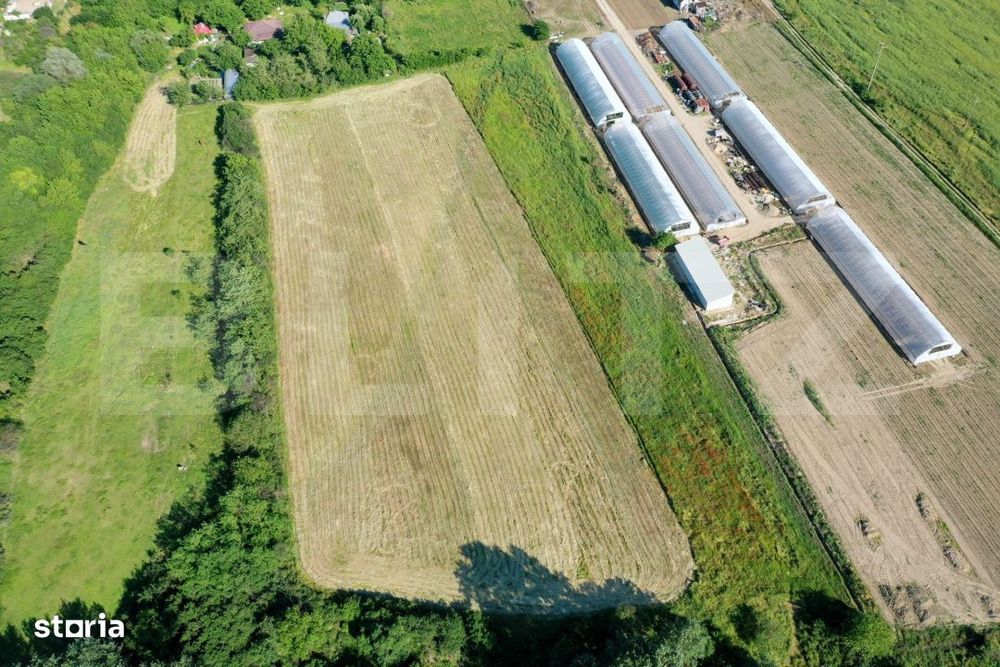 Teren EV si IV cu casa, 29.600 mp, utilitati si acces facil, Albesti