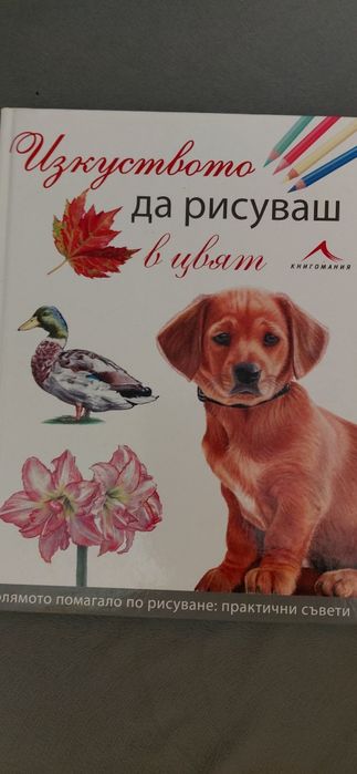 Голямо помагало - Изкуството до рисуваш