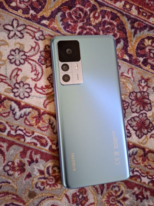 telga javob choʻtki xolatda