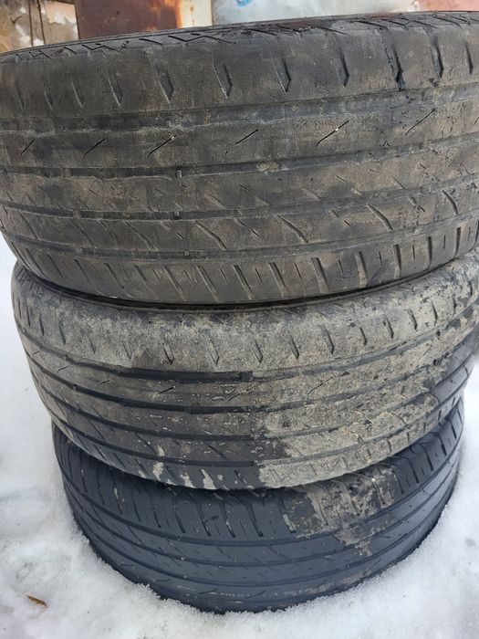 Резина R16 205/55