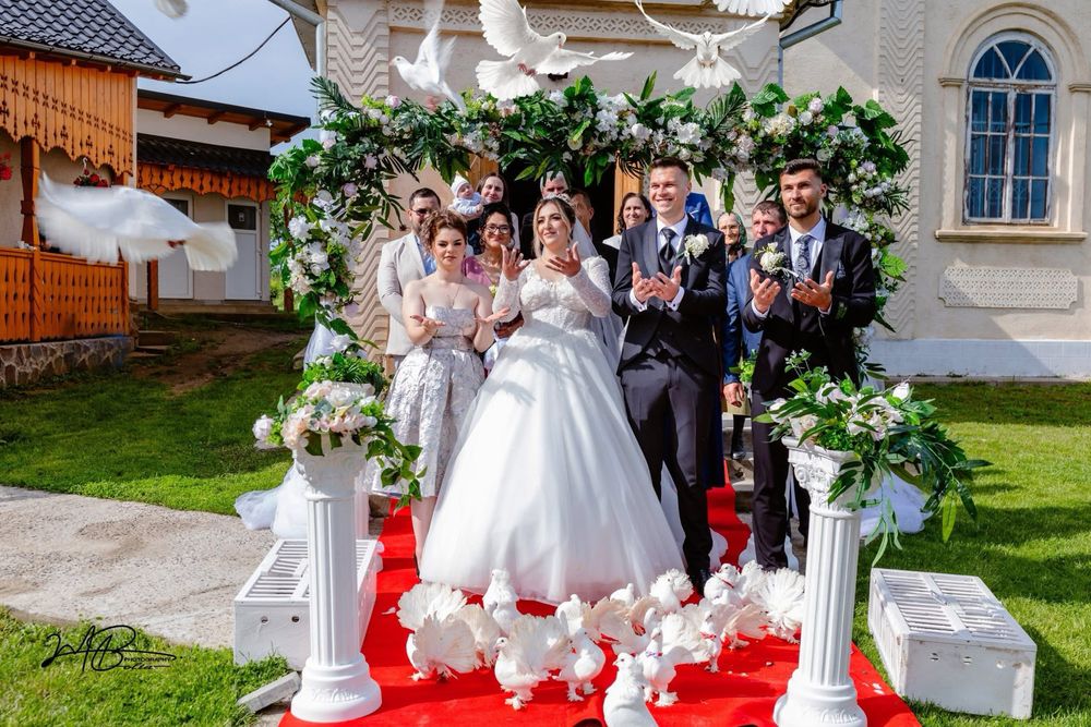 Porumbei albi pentru evenimente