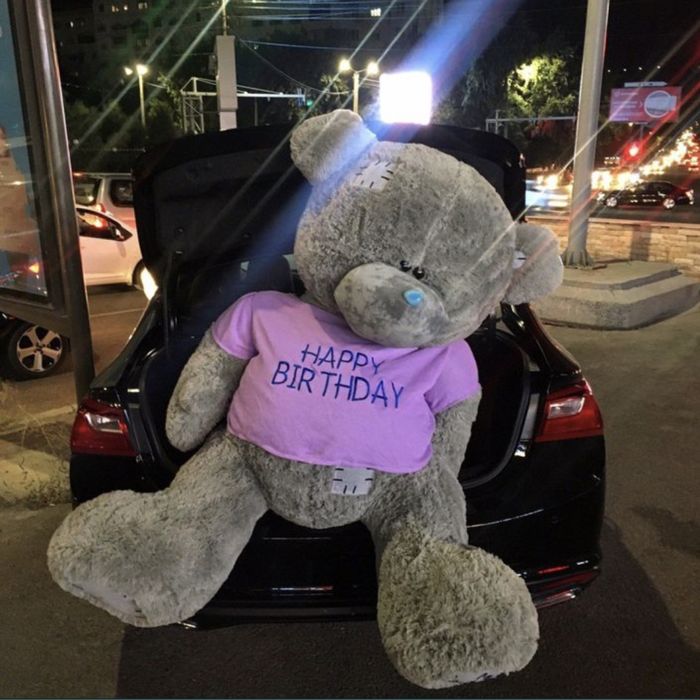 teddy va yumshoq oyinchoqlar