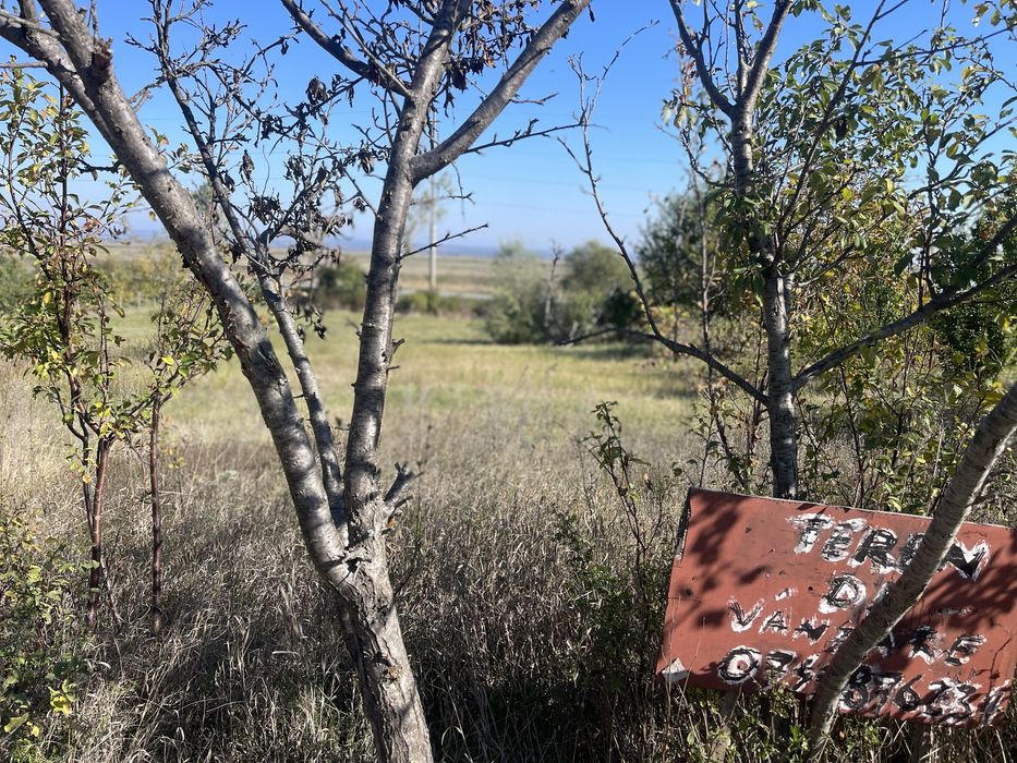 Teren 1500 m2 la strada principala DN sat Stanca Osoi(com.Comarna)!