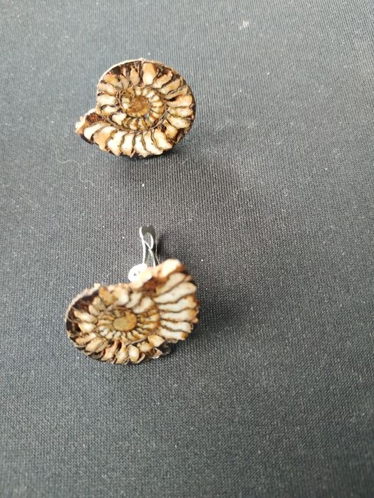 Обеци от амонити-фосили