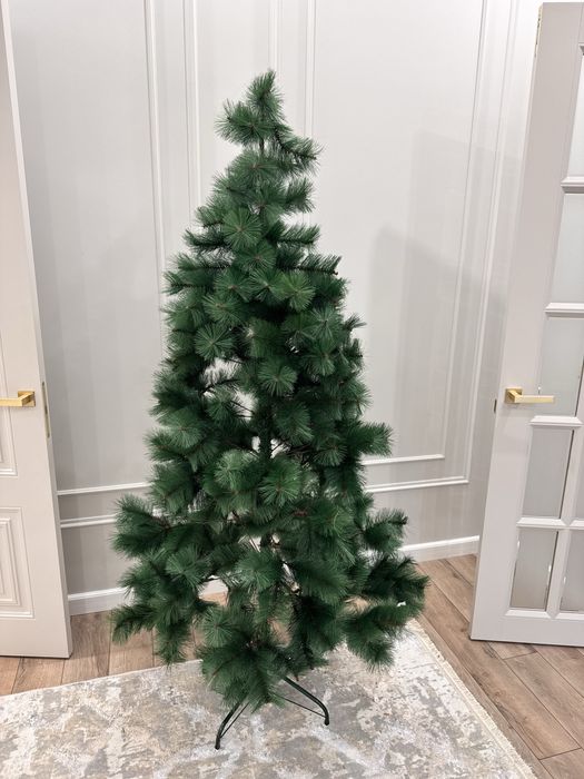 Продам елку (СРОЧНО)