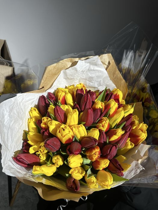 Тюльпаны голландские