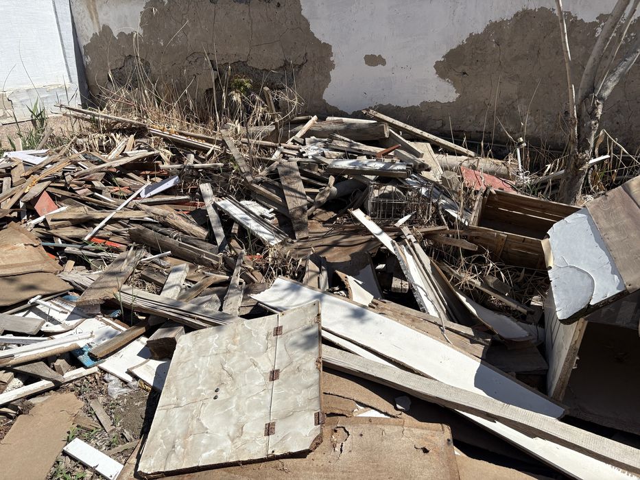 Агаш борене тегин