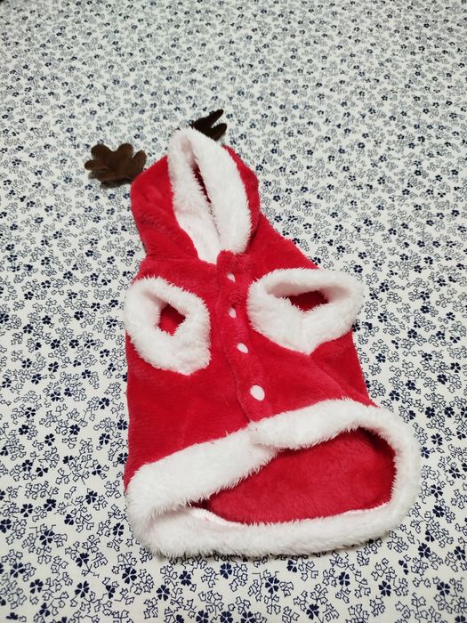 Hăinuțe pentru catel