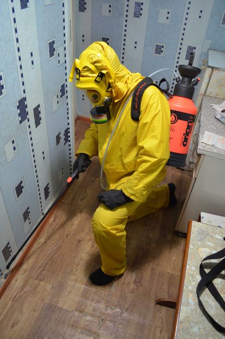 Работаю добросовестно на совесть Клопы тараканы  (-не лохотрон Сергей)