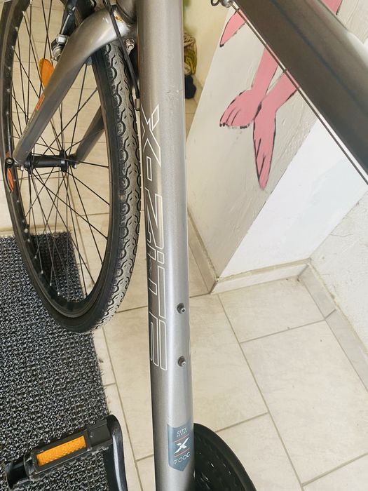 Bicileta de oras Xzite