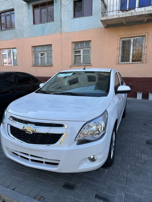 Kobalt pachka 2025 80km