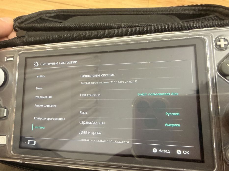 Nintendo switch lite прошитая