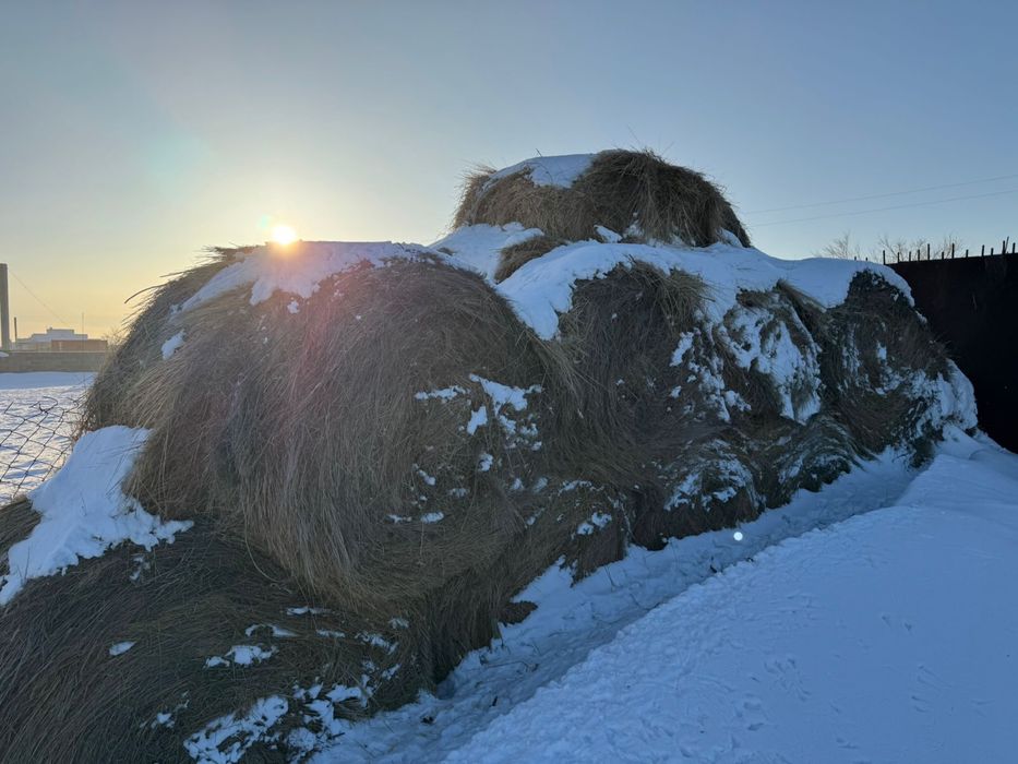 Продается сена рулонами