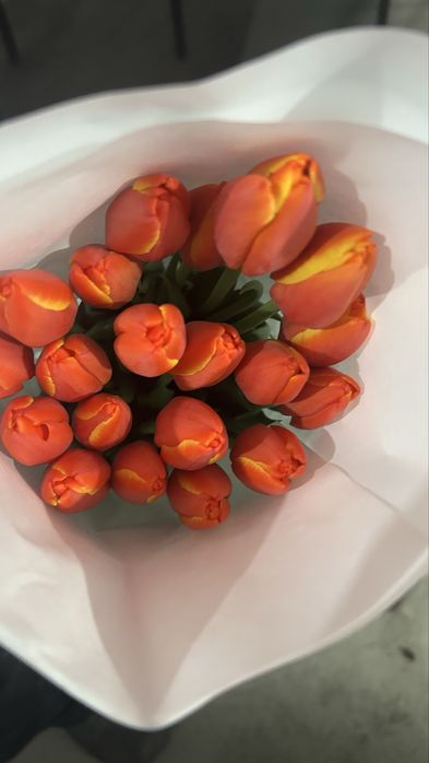 Тюльпаны оптом и в розницу