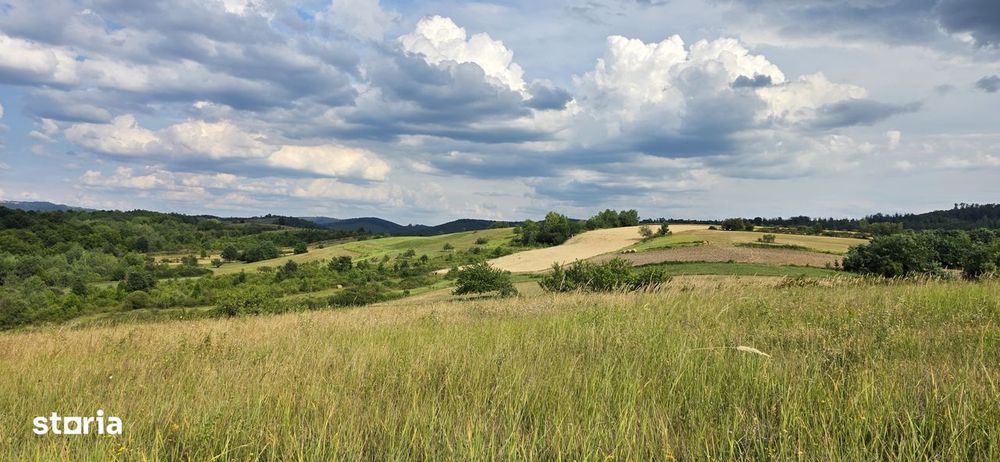 Teren Extravilan 9.528mp/ Vârciorog -Bihor / 30 km de Oradea