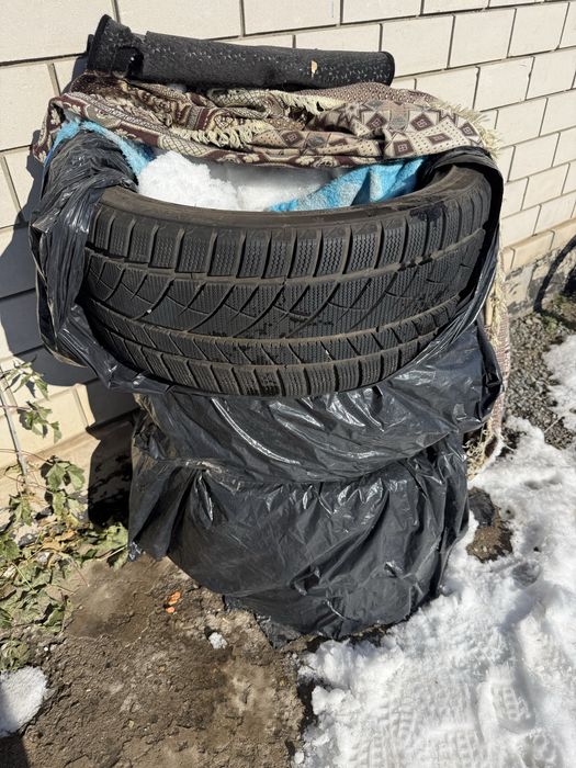 Продам ризина лепучка