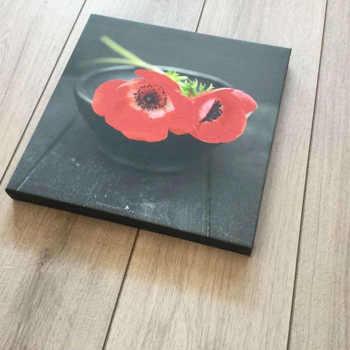 НОВА картина / репродукция / пано на цвете мак 30 х 30 см