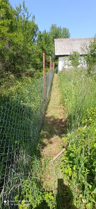 Livada 3000mp Turnu Rosu