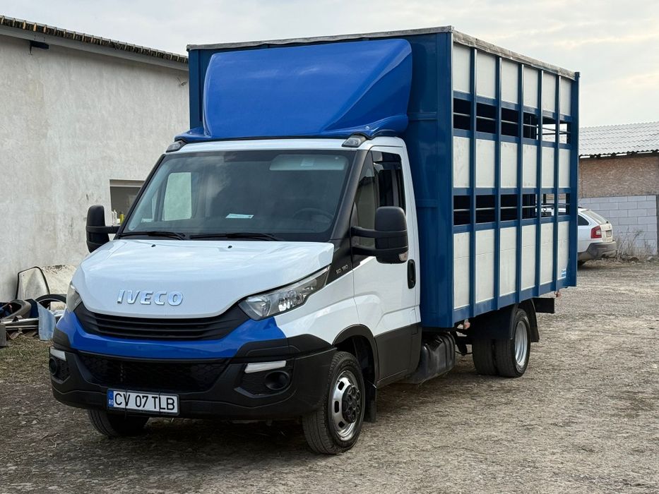Iveco Daily cub Transport animale vii