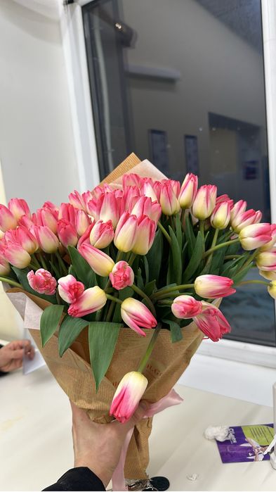 Тюльпаны корпаратив Алматы  600 тг