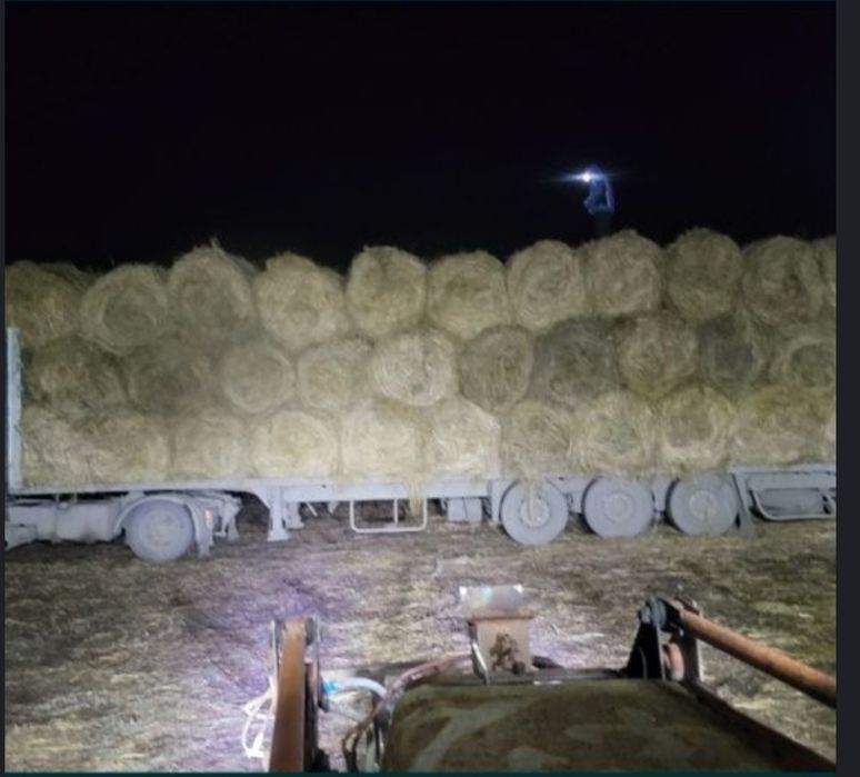 Продам луговое сено в рулонах