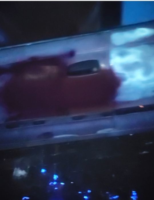 Экспертиза автомашин под ультрафиолет