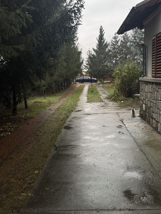 Cazare Muncitori Ploiești – 20 Locuri, Parcare Mare, Factură