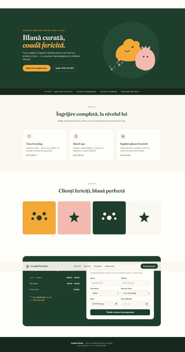 Site-uri Web pentru orice tip de afacere (RAPID)