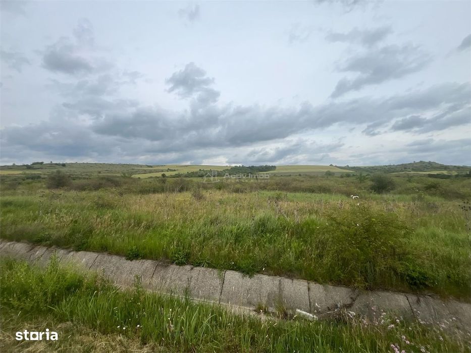 Lugoj, Teren 16.800 Mp., Cu deschidere  de 80 Ml., La Centura Ocolitoa