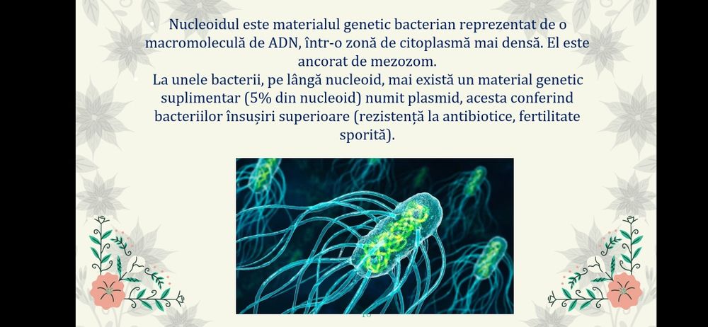 Meditații bacalaureat biologie