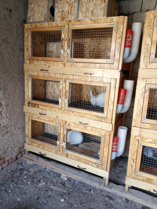 Куëнларимиз сотилади