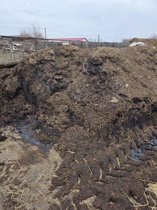 Vând gunoi de grajd ( mranita)