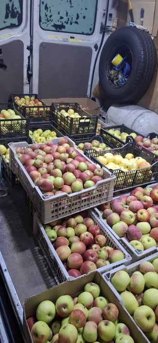 Продам! Яблоки с гор много есть