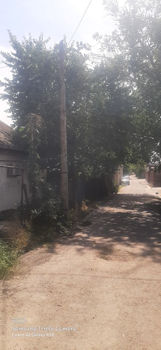 Дрова лес отдам даром орешина урюк клен