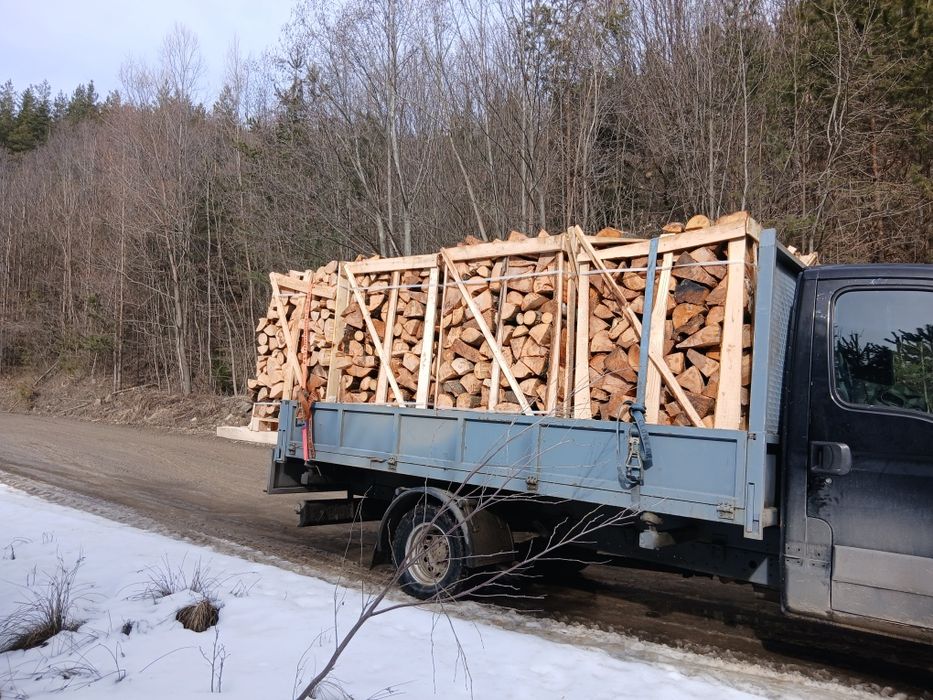 Cherestea rasinoase si lemn de foc