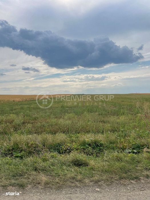 Teren extravilan 7.200mp, Bogdanesti-Horlesti, deschidere la 2 drumuri