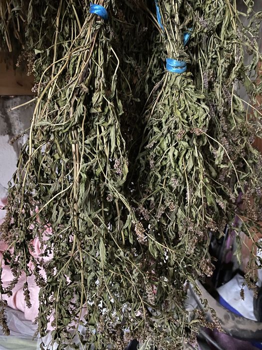 Miez de nucă, hrean, cimbru,mentă