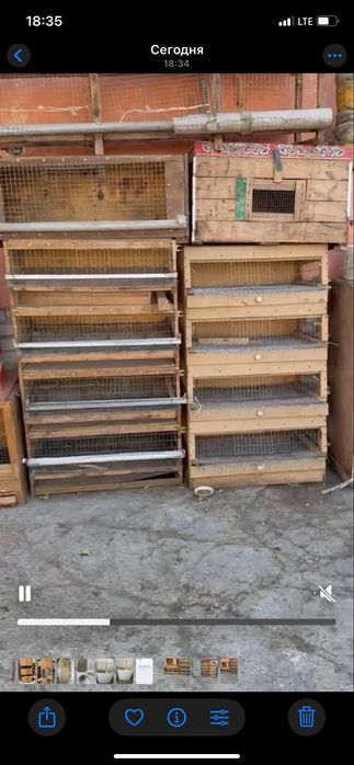 Тауық кепелер арзан бағада