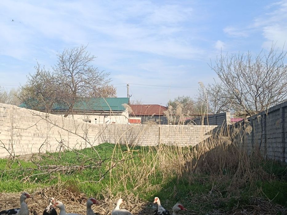 Бектемир туманида фуд сити якинида ер сотилади уч сотик фасад 10