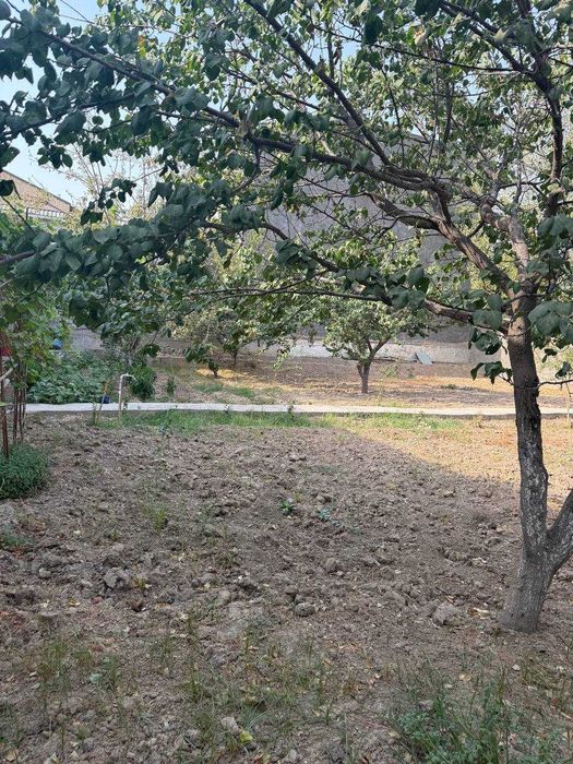 Дормон Кибрай Аргин 8-сотих 6-хона № 110 Жамила