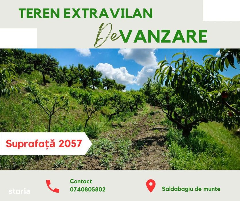 Teren de vânzare, Saldabagiu de Munte, la 500 m de str. Gheorghe Doja