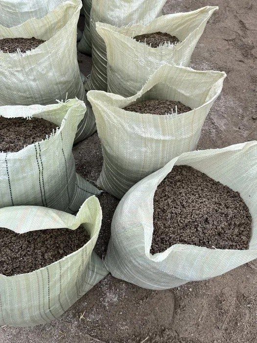 Qoplangan Qum, Klines va sheben