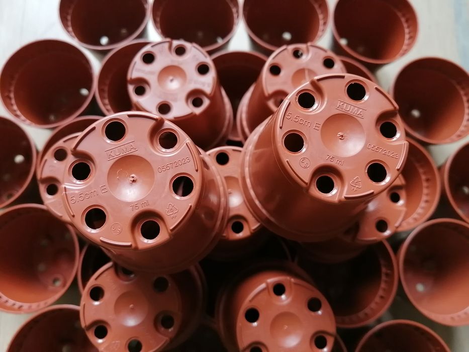 Саксии с диаметър 5,5 см