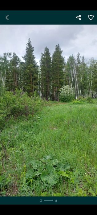 Срочно продаю участок Щученск Дача  рядом лес