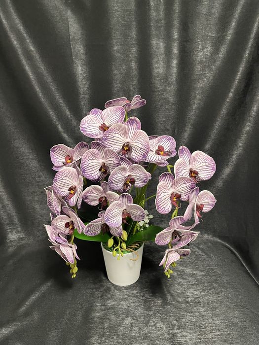Aranjament orhidee premium