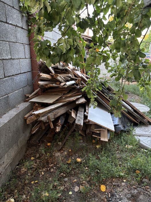 продам дровы много